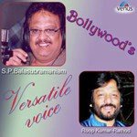 Bollywood'S Versatile Voice (Roopkumar Rathod & S.P. Balasubrahmanyam) - Harbhajan Mann Song Download